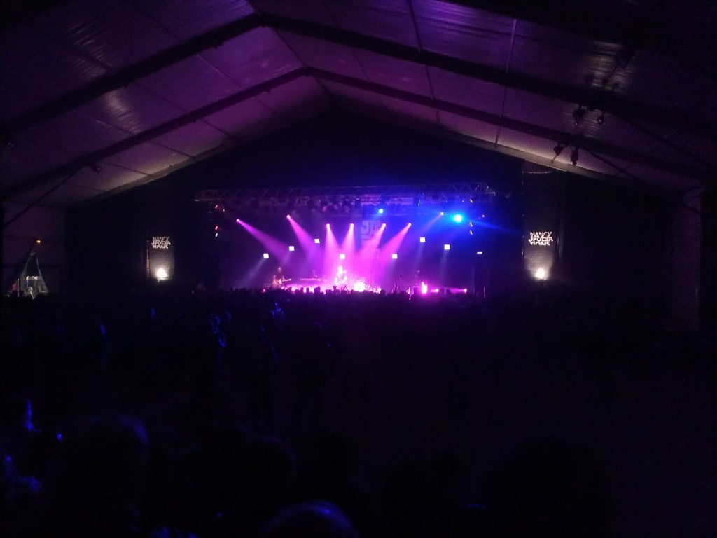 NJP 2013 - Nancy Jazz Pulsation