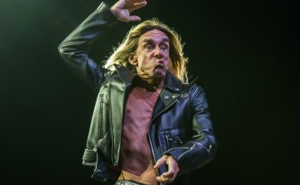 FAV Colmar 2015 - Iggy Pop - Crédit photo : Benoit FACCHI