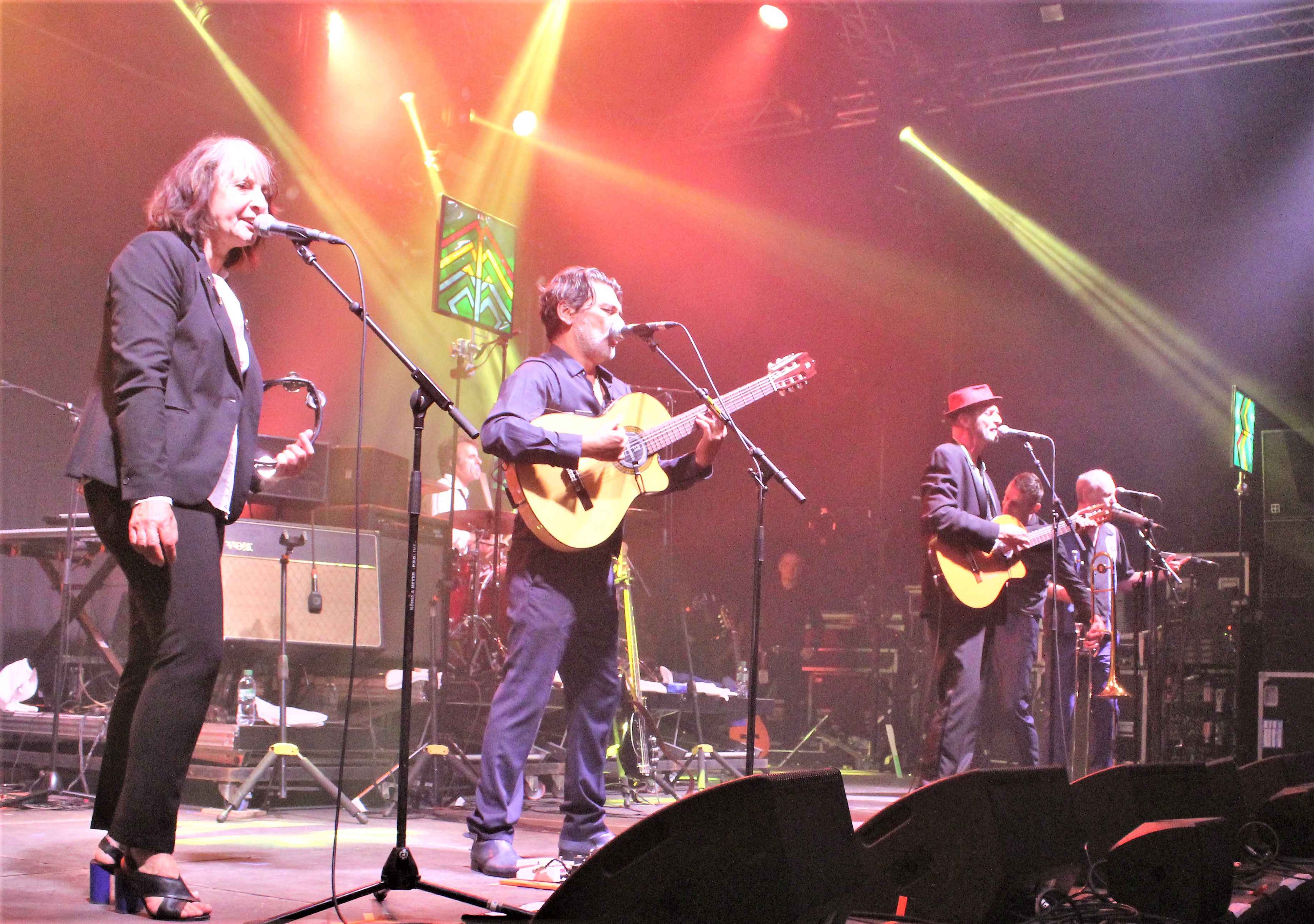 Les negresses vertes - Watt a Bar 2018 - crédit photo : jaimelesfestivals.fr