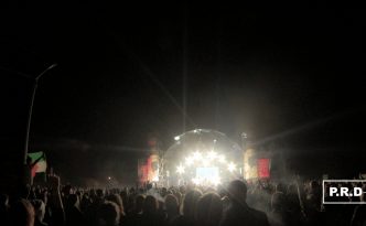 manu chao au JDM 2016 - jardin du michel (3)